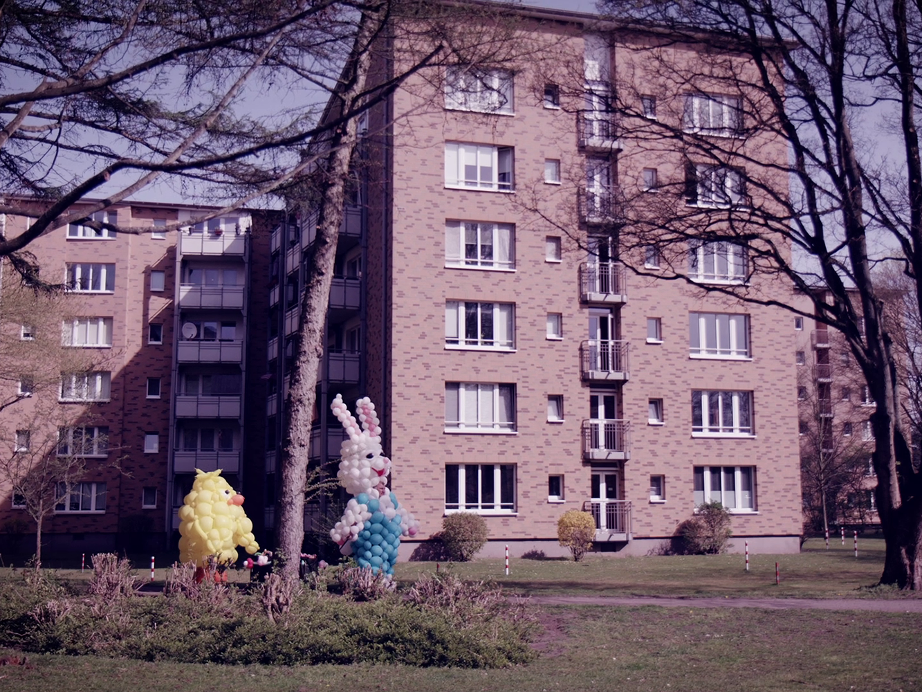 THE BIG BUNNY